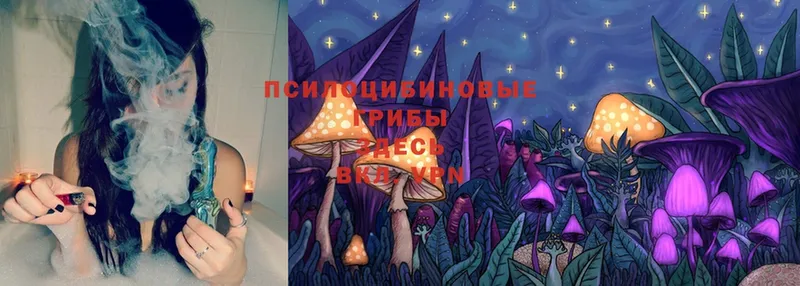 Галлюциногенные грибы MAGIC MUSHROOMS  Кисловодск 